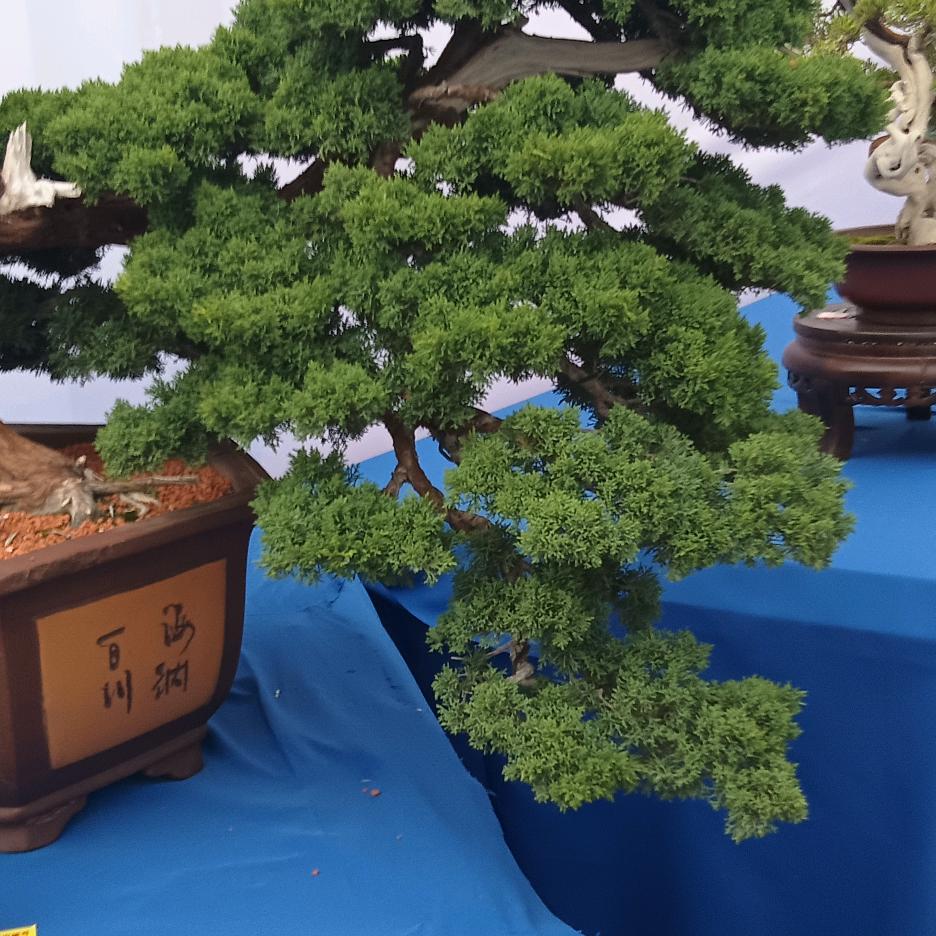 快乐记录每一天