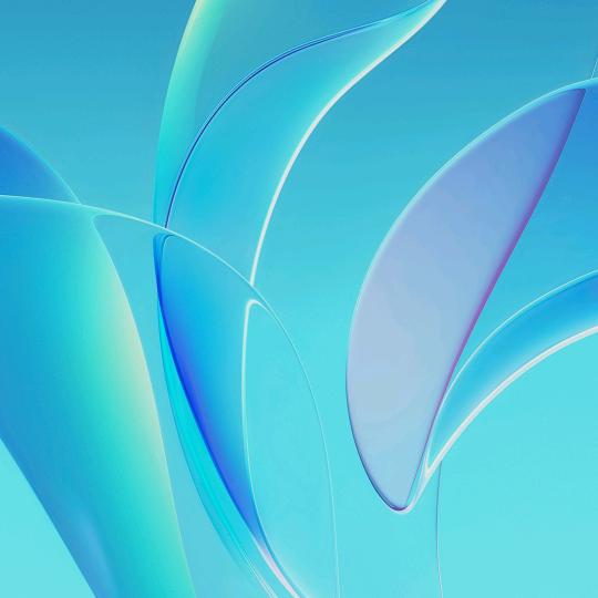 爱你的情调.恒之阳