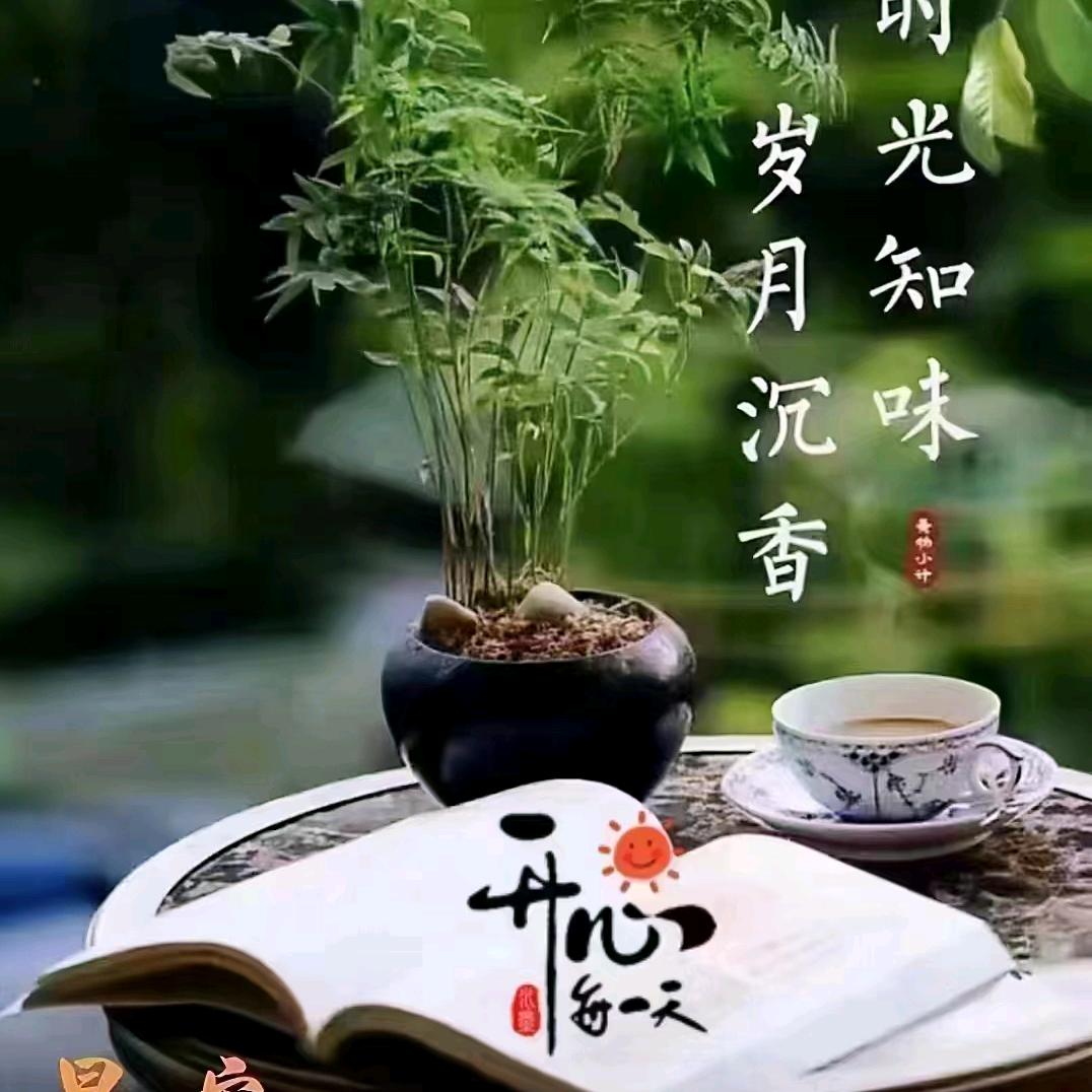 胜者为王