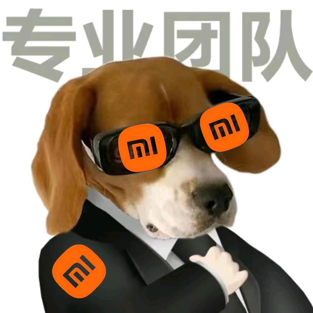 小米之家天水二马路店