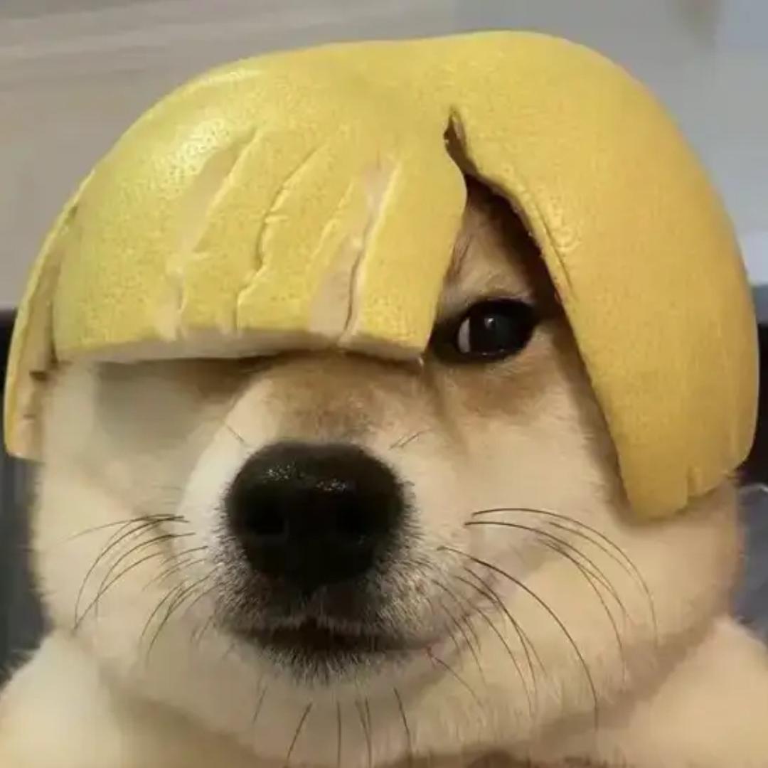 一直在改变💦