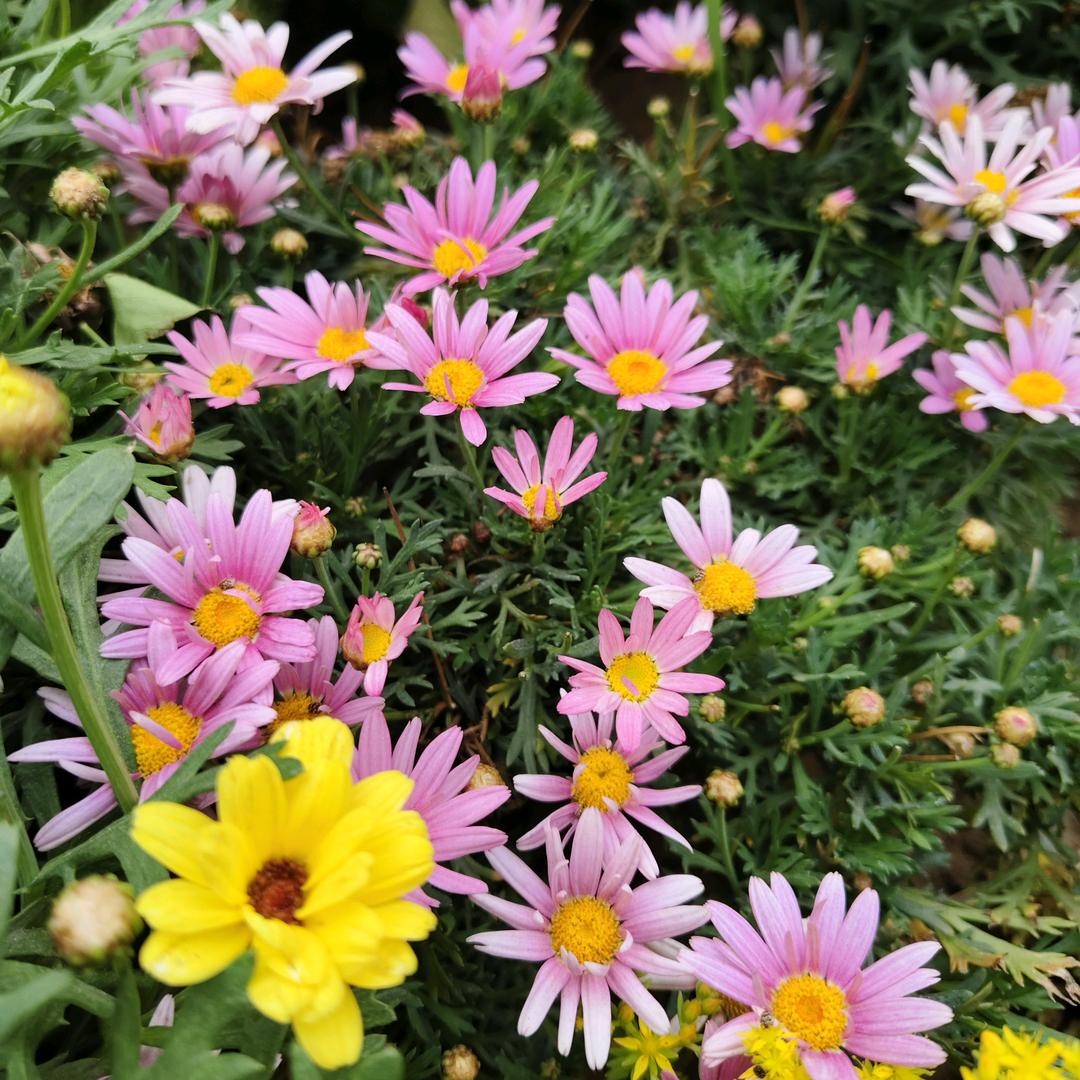 陈诺余生！管你未来♥