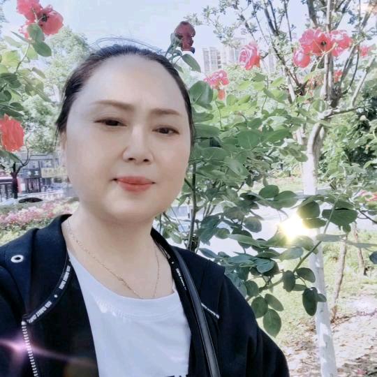 萍姐（晚上9.10分开播）