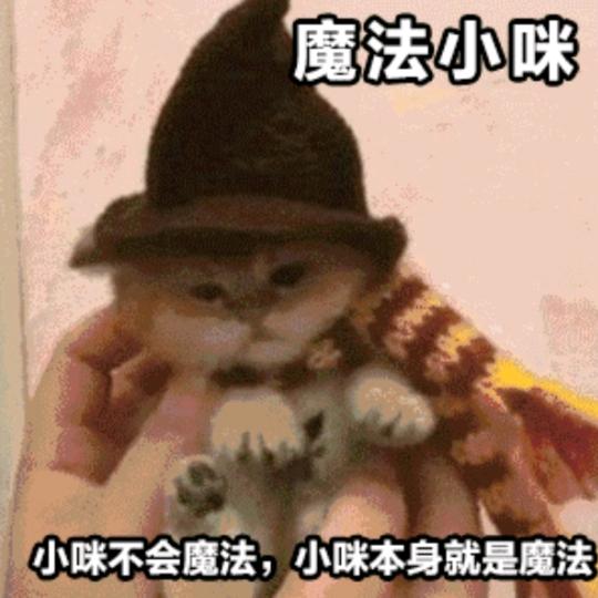 魔法小咪