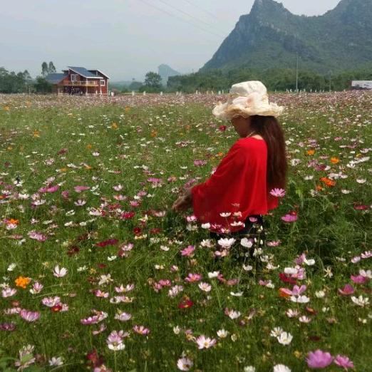 阿平分享旅游视频