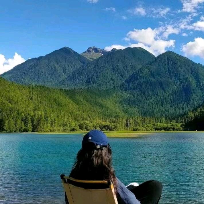 🌻向阳而生🌻