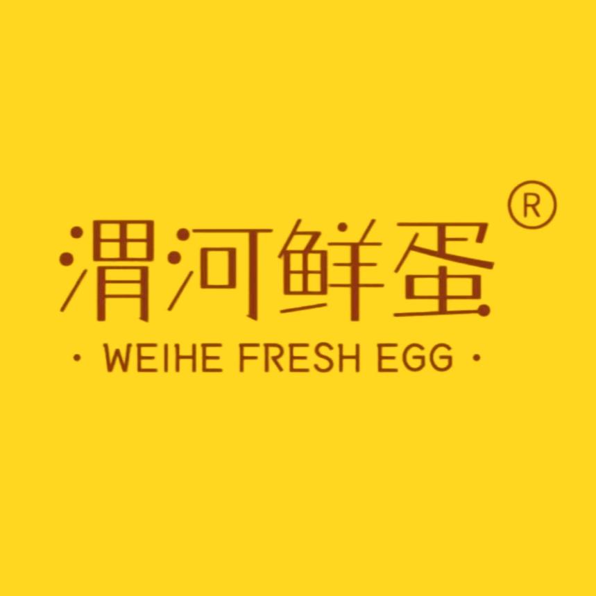 青少年家具(维家思广场店)盈隆授权号