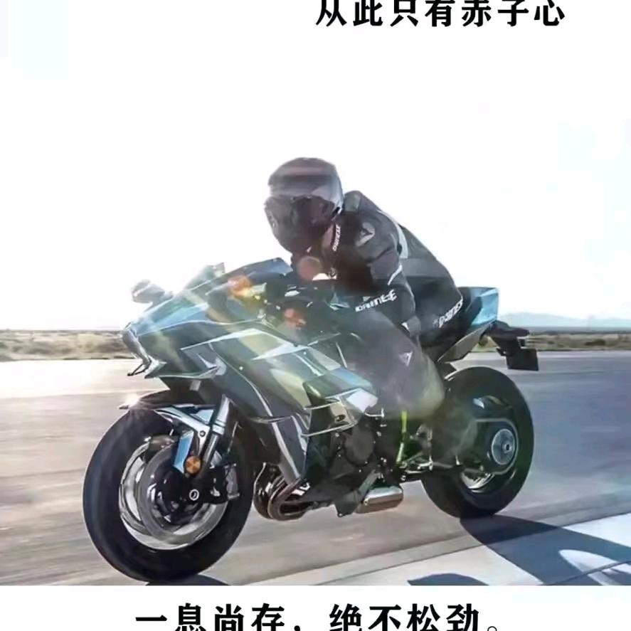 王雪飞