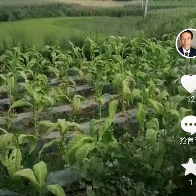 用户802764894