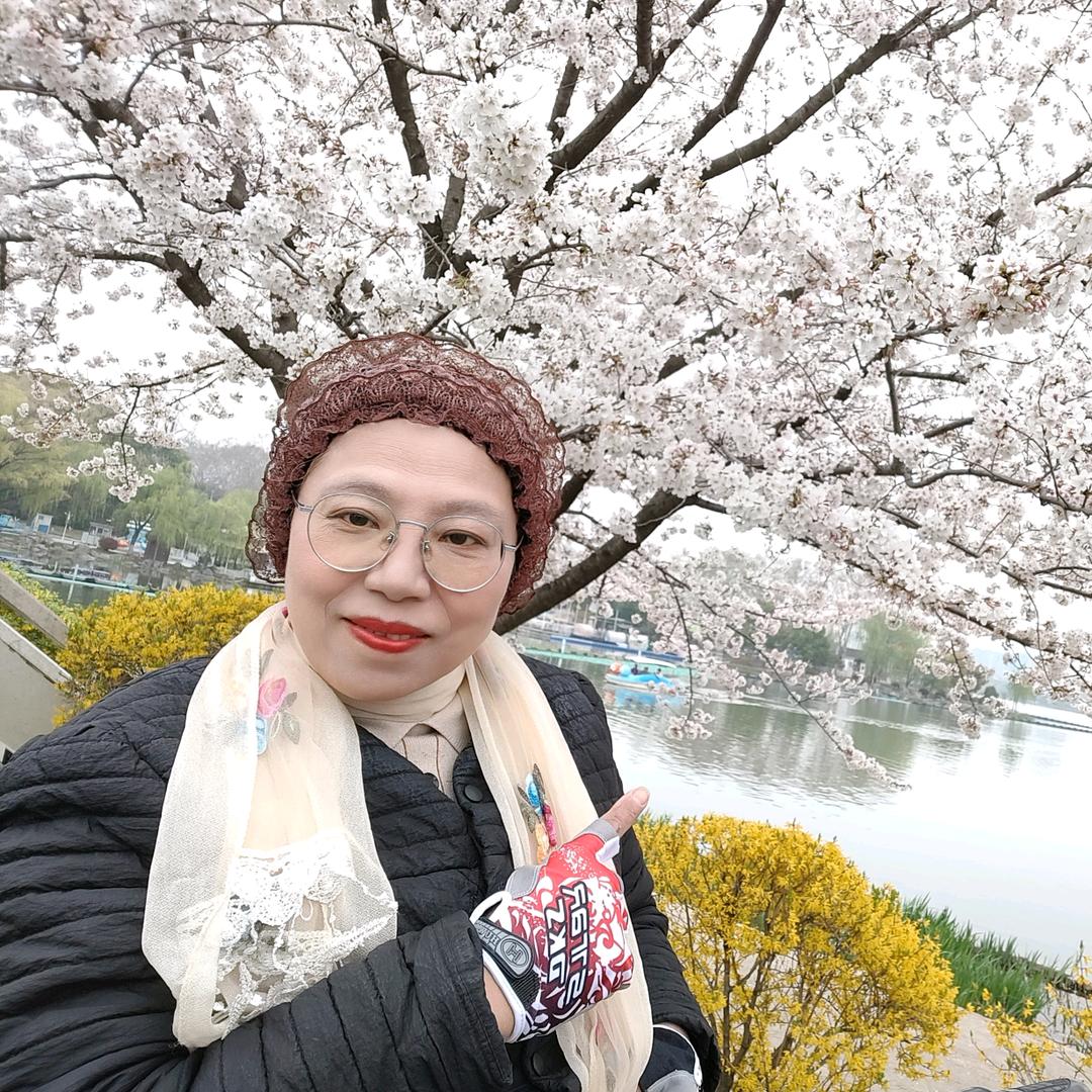 太阳花