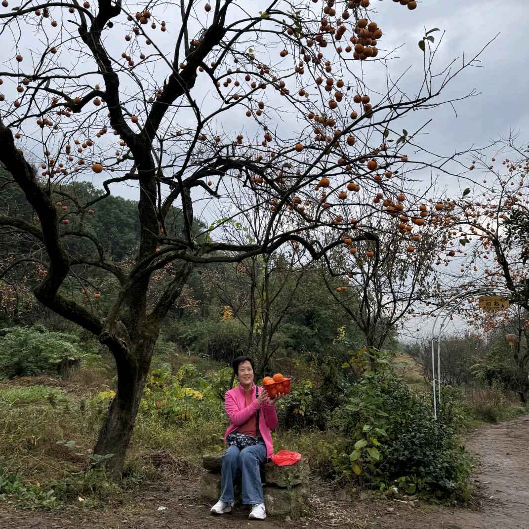 一生平安（杭）63