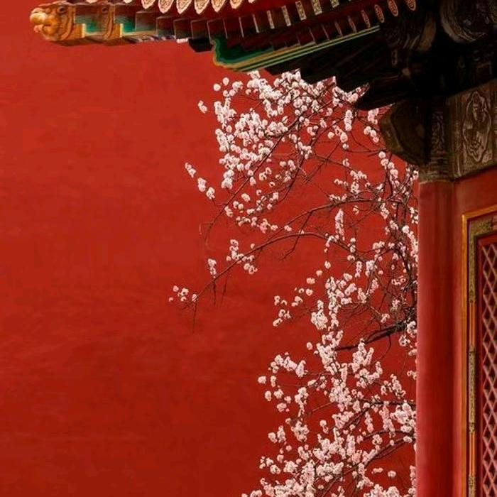 扬灵 汉服体验馆