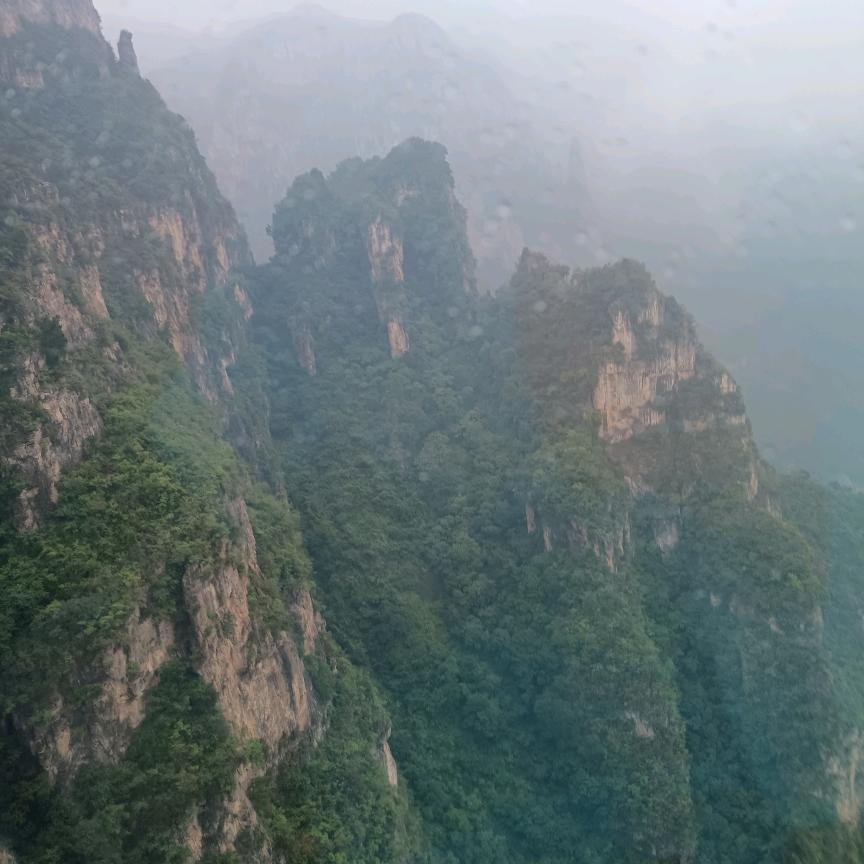 张工资