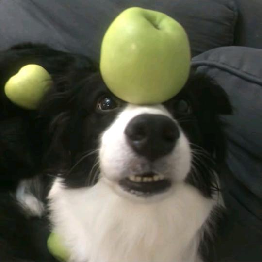 迷你世界没下雨