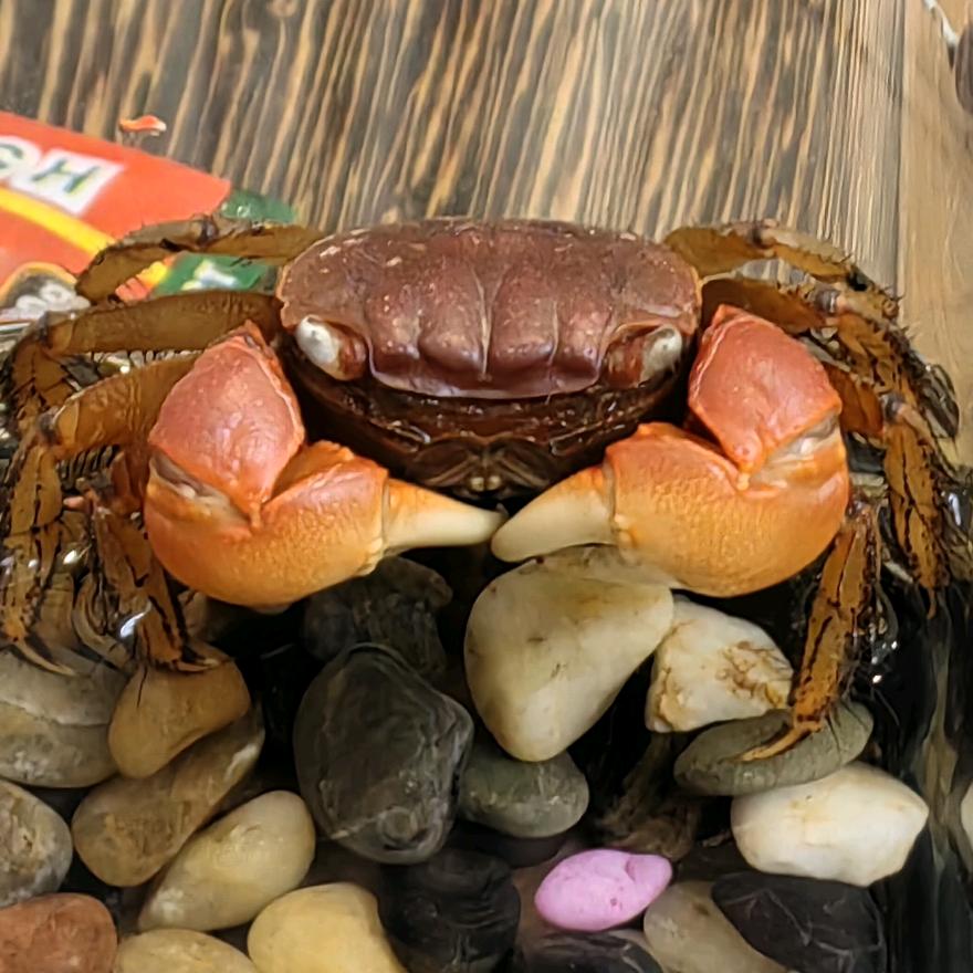 灵台方寸山斜月三星洞