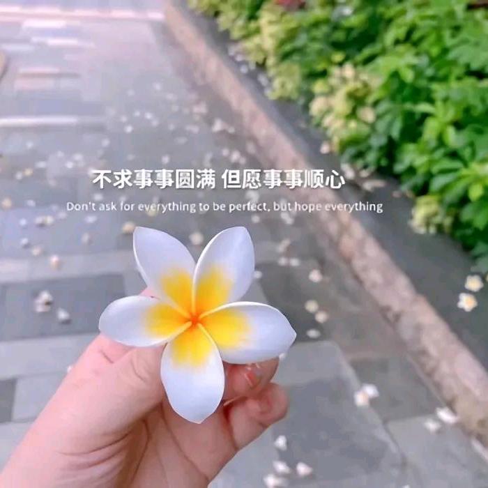 香香米💫