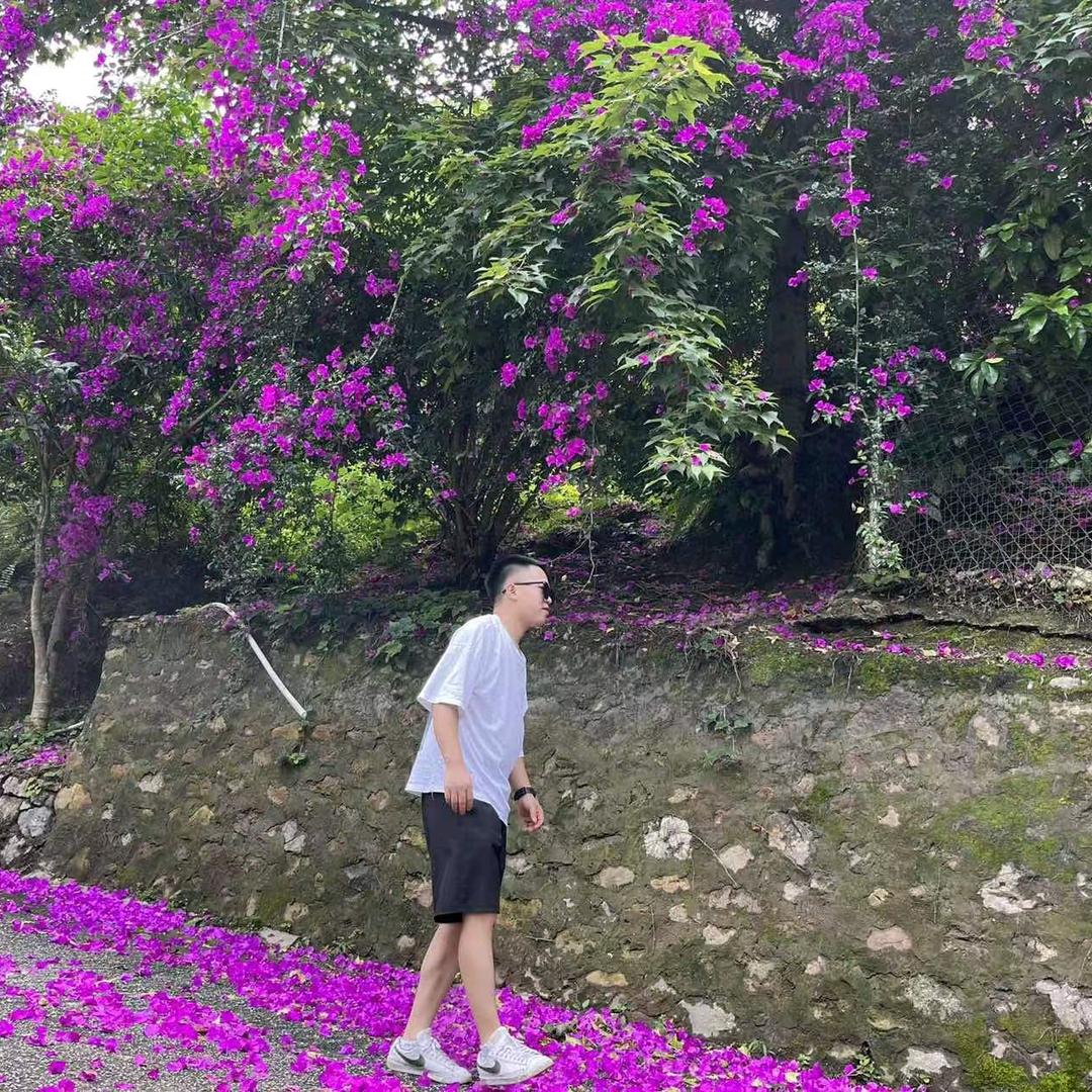 泡椒味的兔子8n