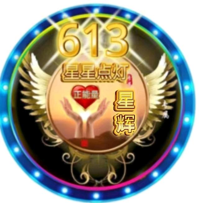 李维小号（613）星辉