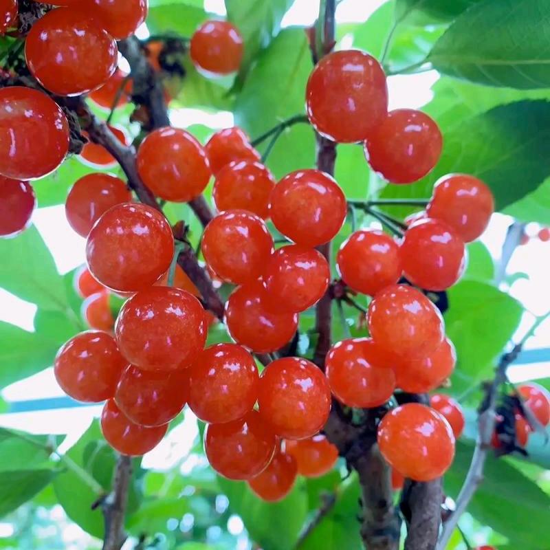 别跟我玩❤️跳