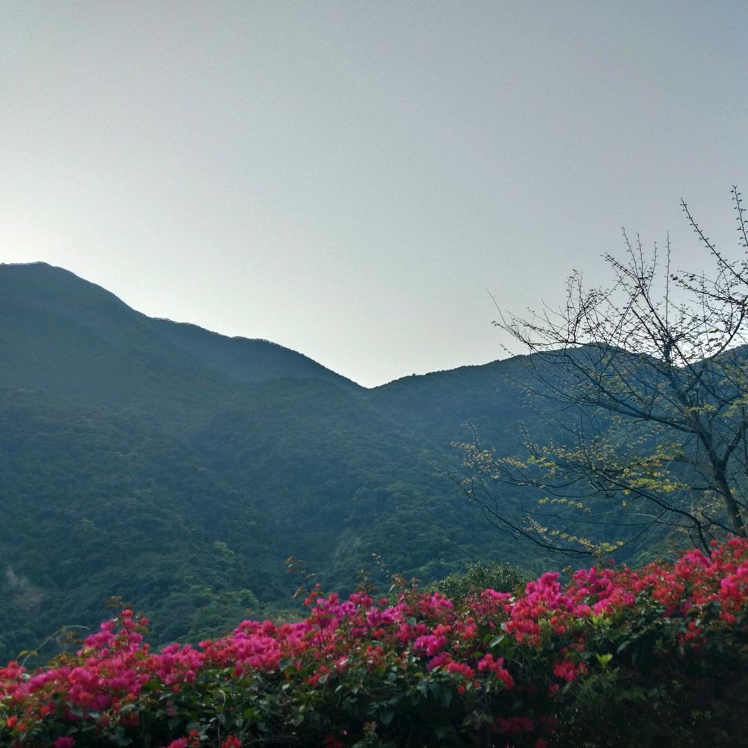 王者吗你是做什么的