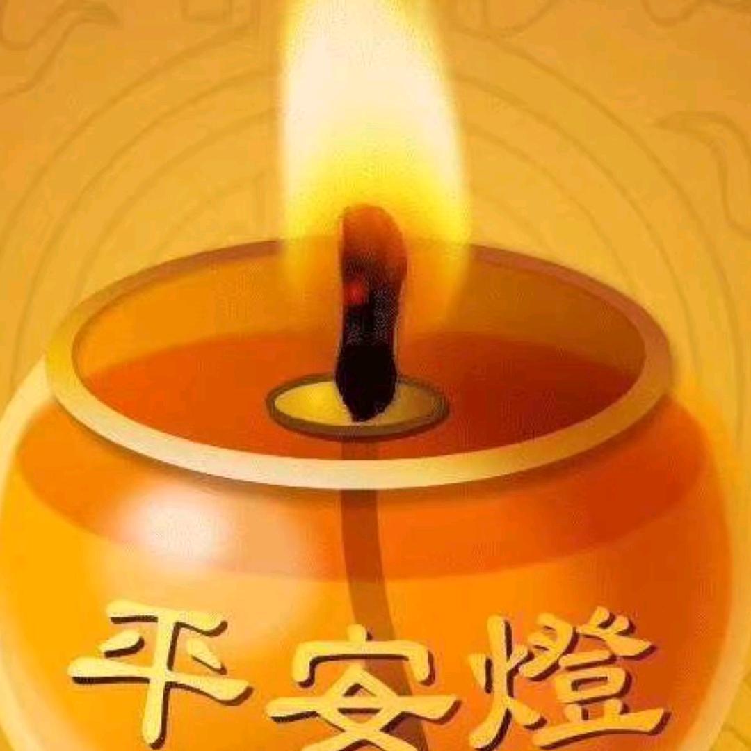 刺猬的拥抱