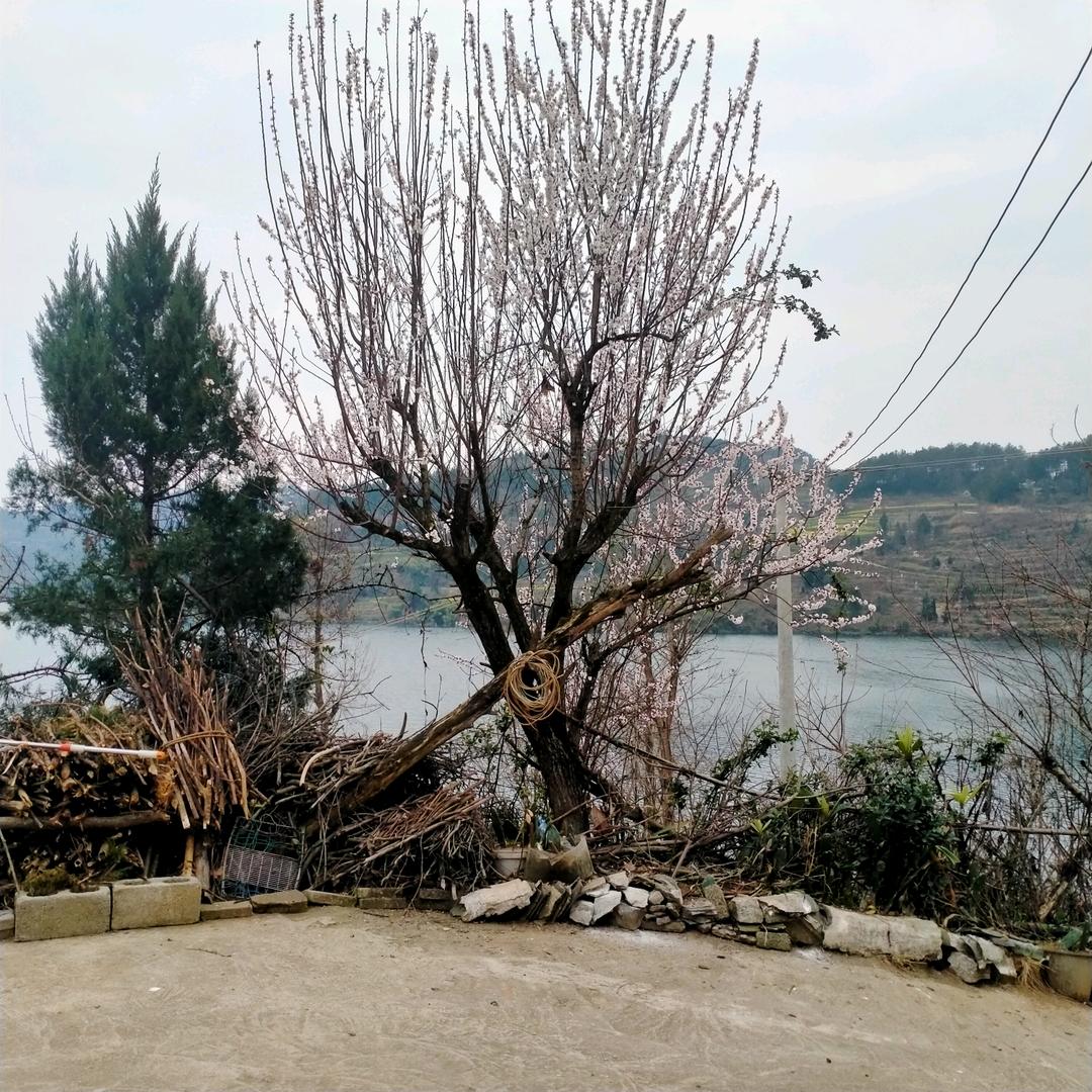 身体健康是幸福