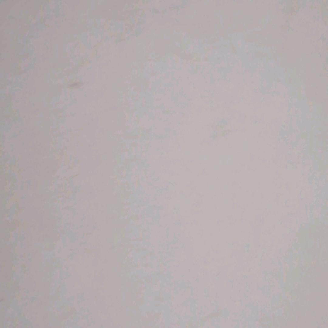 悟=道