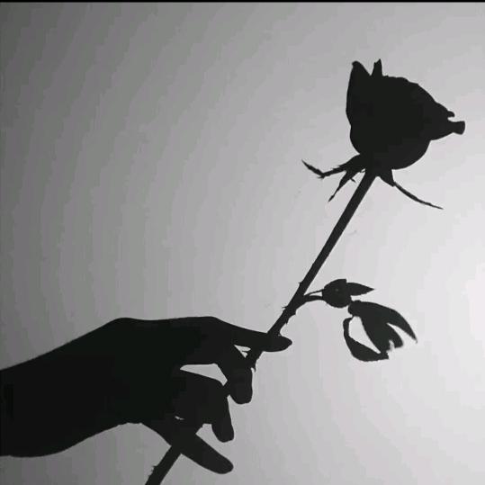 一人一车一世界