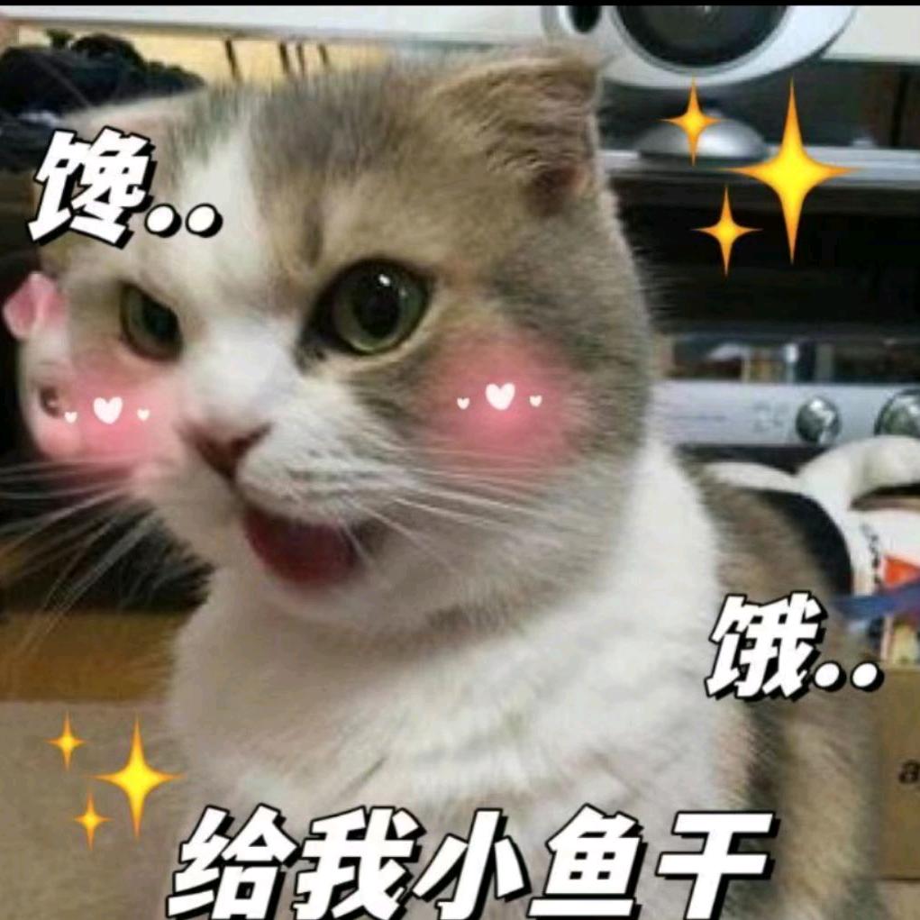 ☆ﾟ别动我的小鱼干.*❃