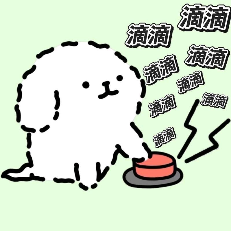 金畅畅