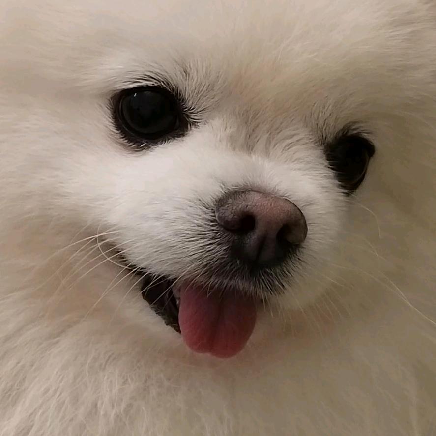 恒健电脑科技