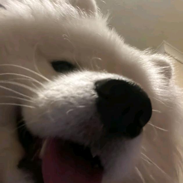 小宇_