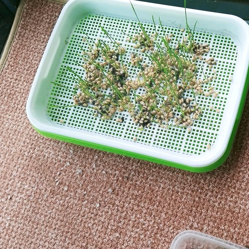 钟姐酷舞
