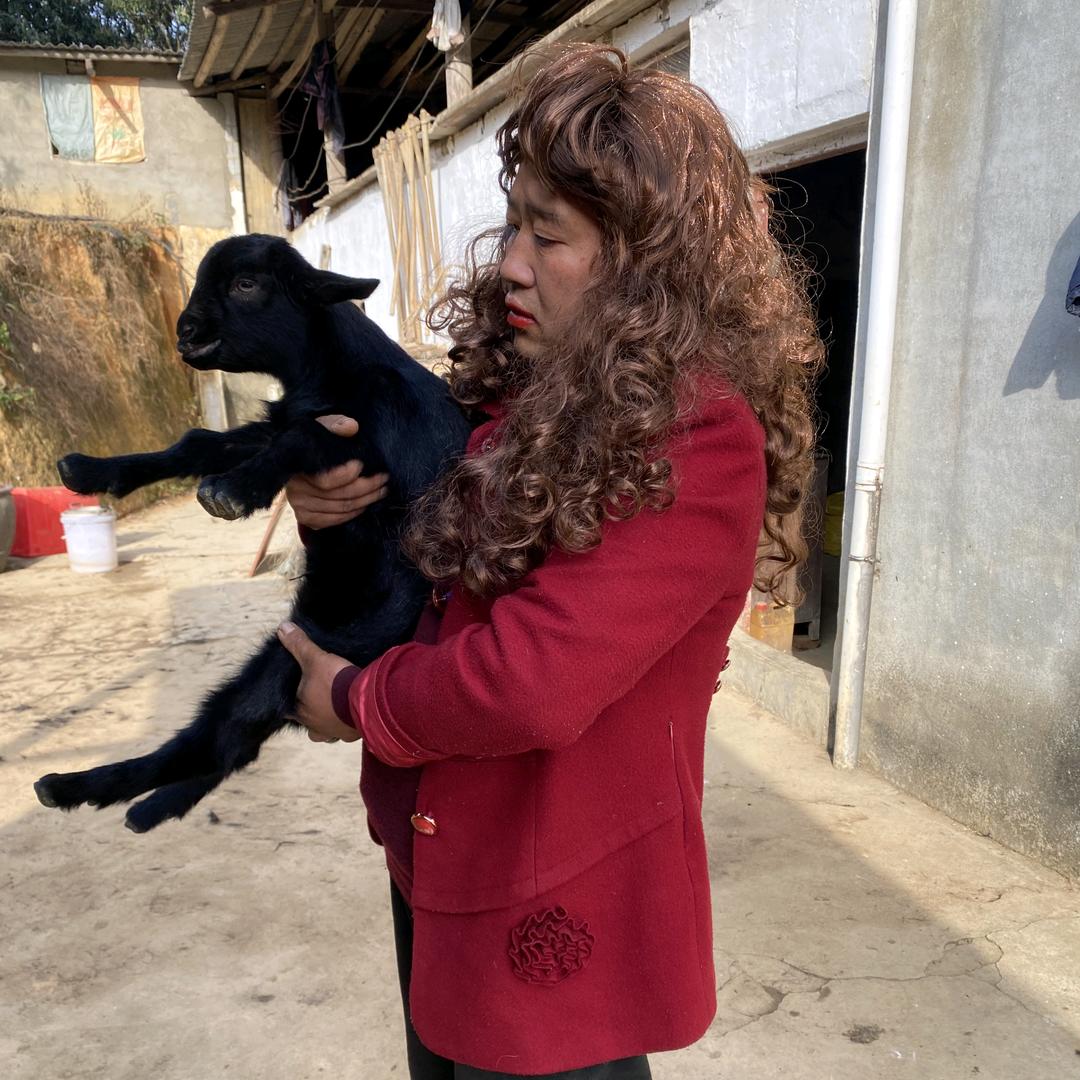 江山放养黑山羊