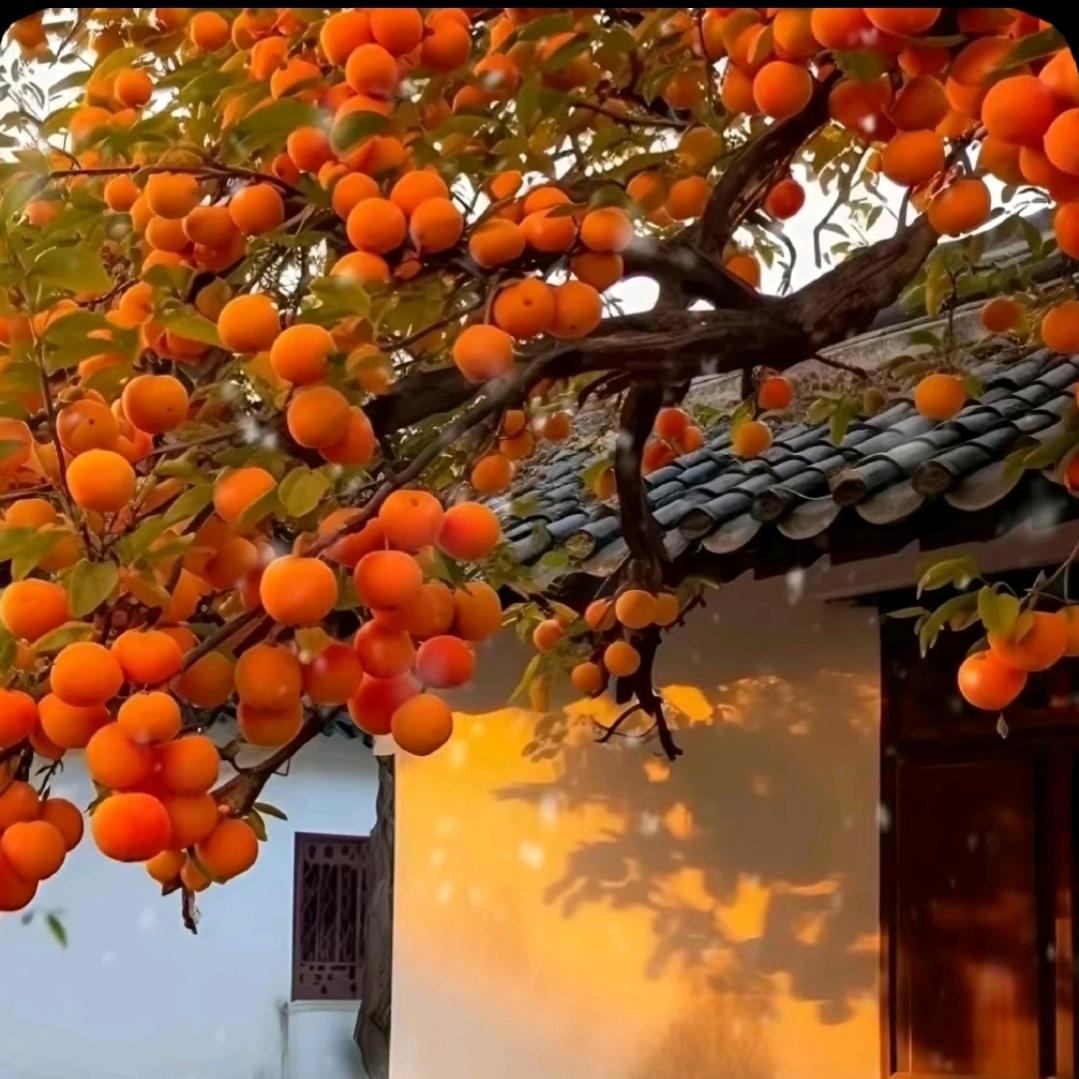 @意儿