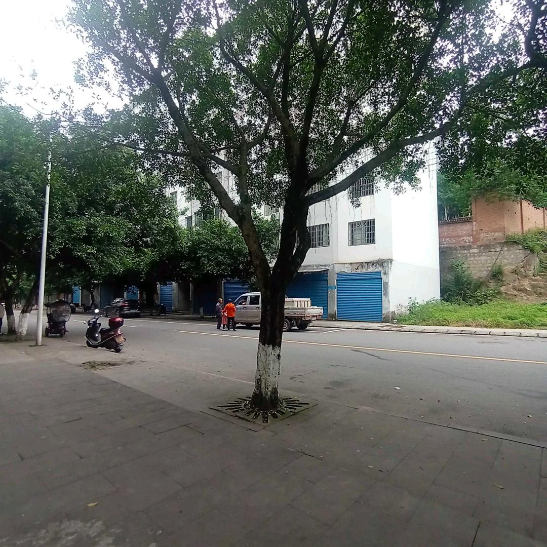 风雨过后