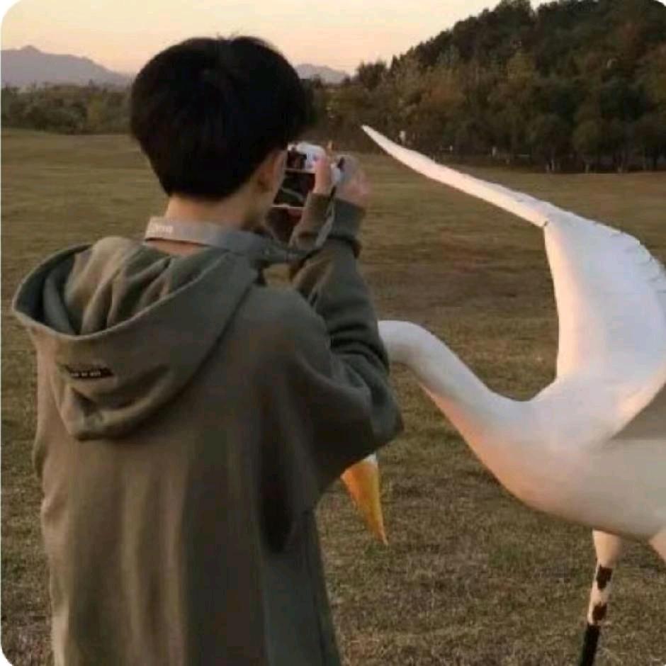 习习