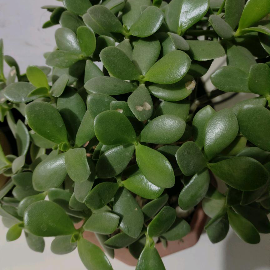 💞不离不弃💞