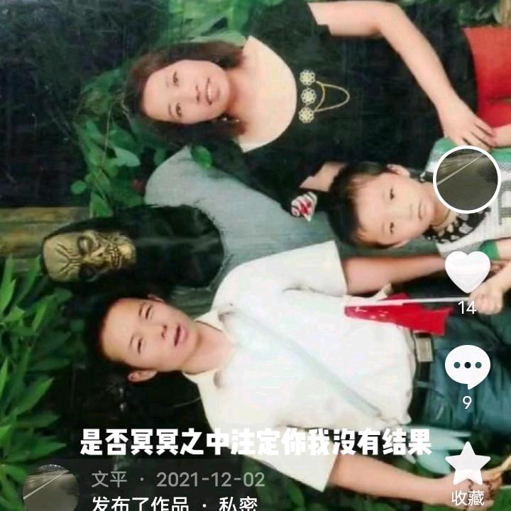 文平