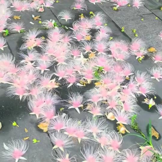 努力向前