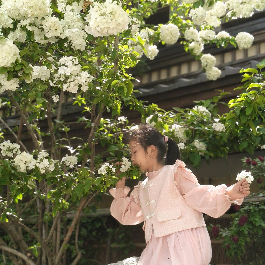 大知闲闲
