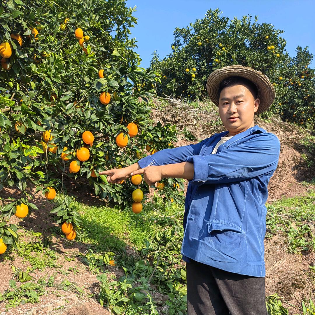 我是一只鱼