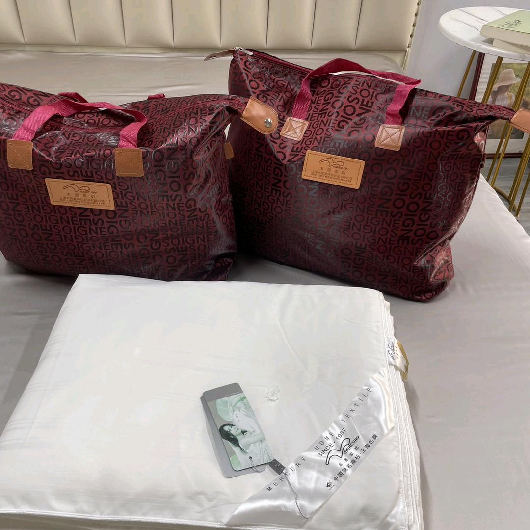 合肥秉辰商贸有限公司