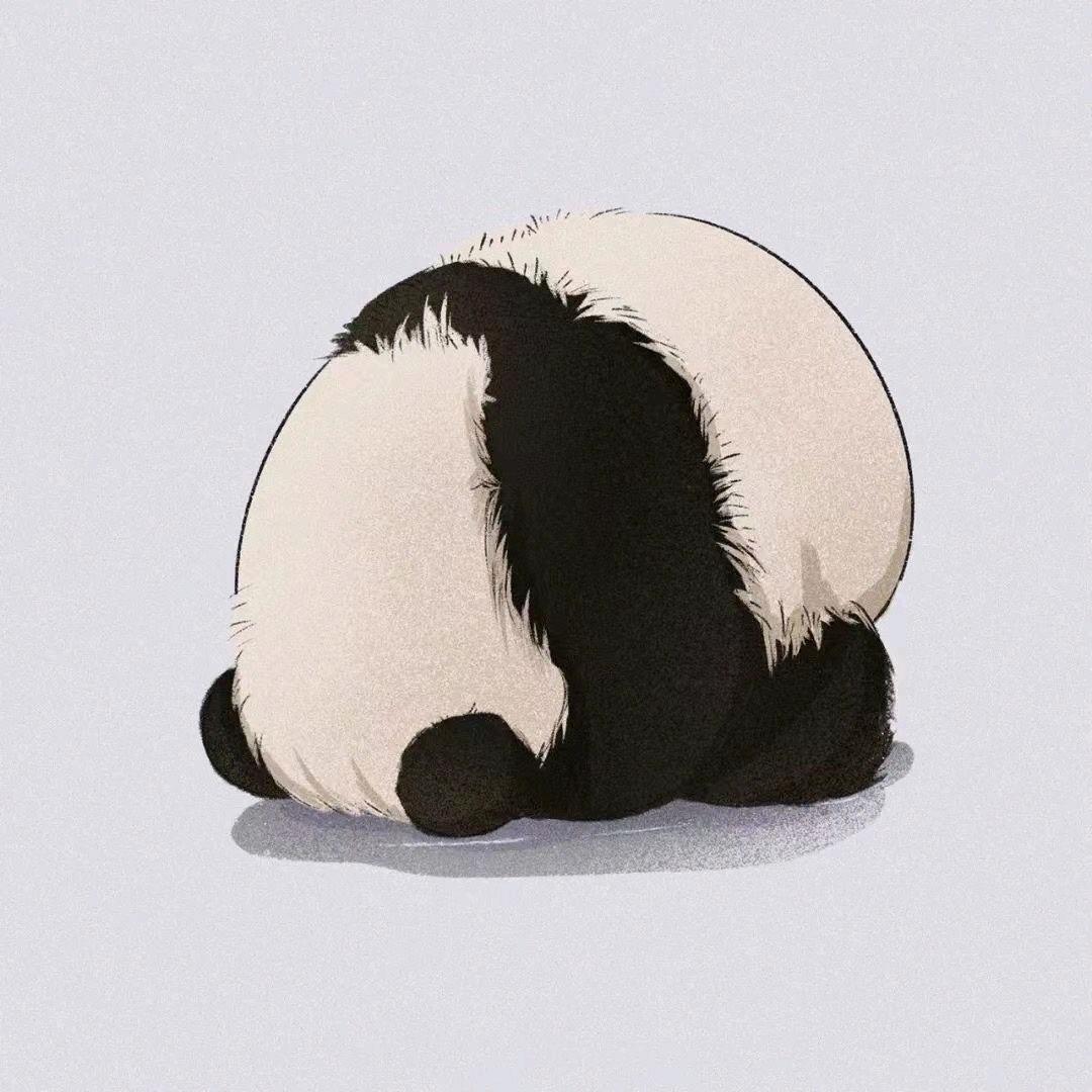 洛儿💋·
