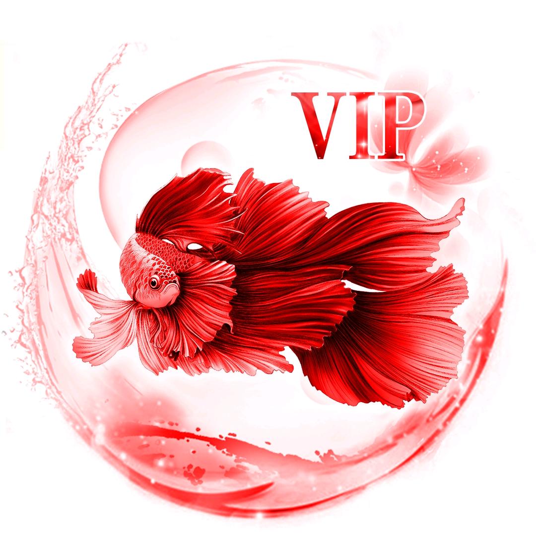 VIP蝴蝶鲤