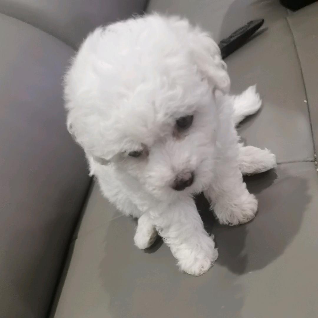 AAAAA五金建材小张