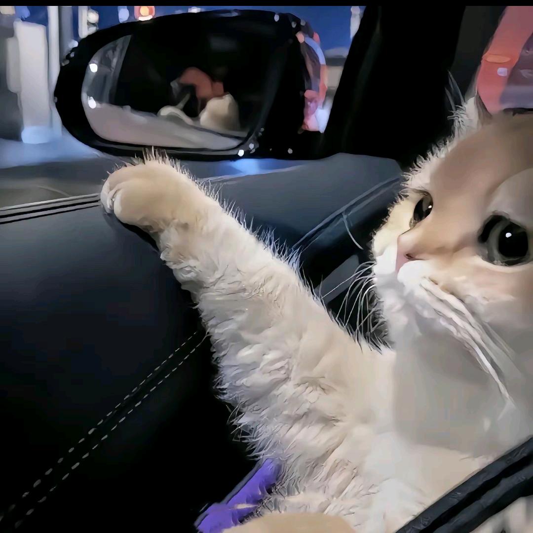 我就来