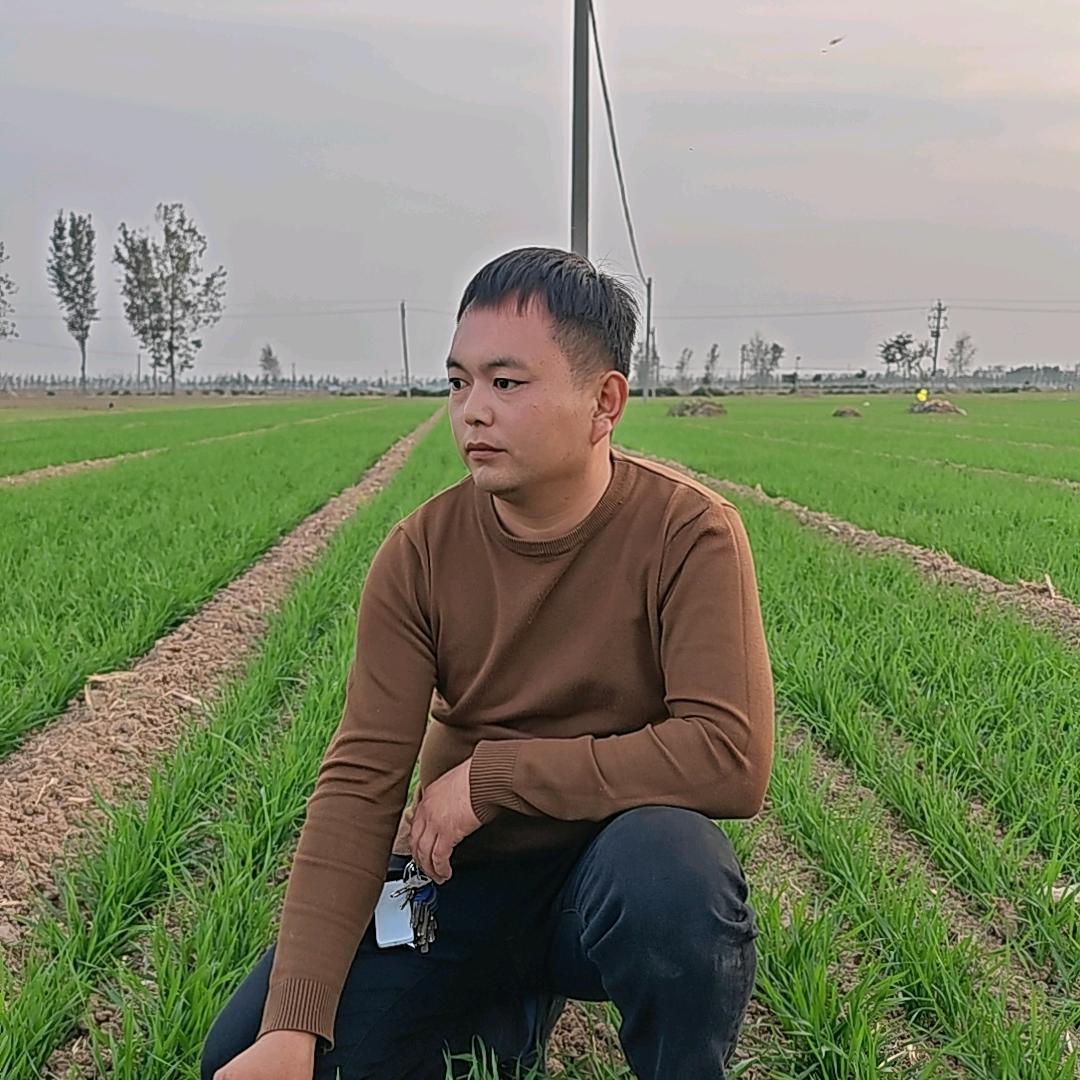 阳弟助农