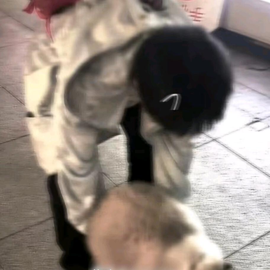 橙橙🍊（书法版）