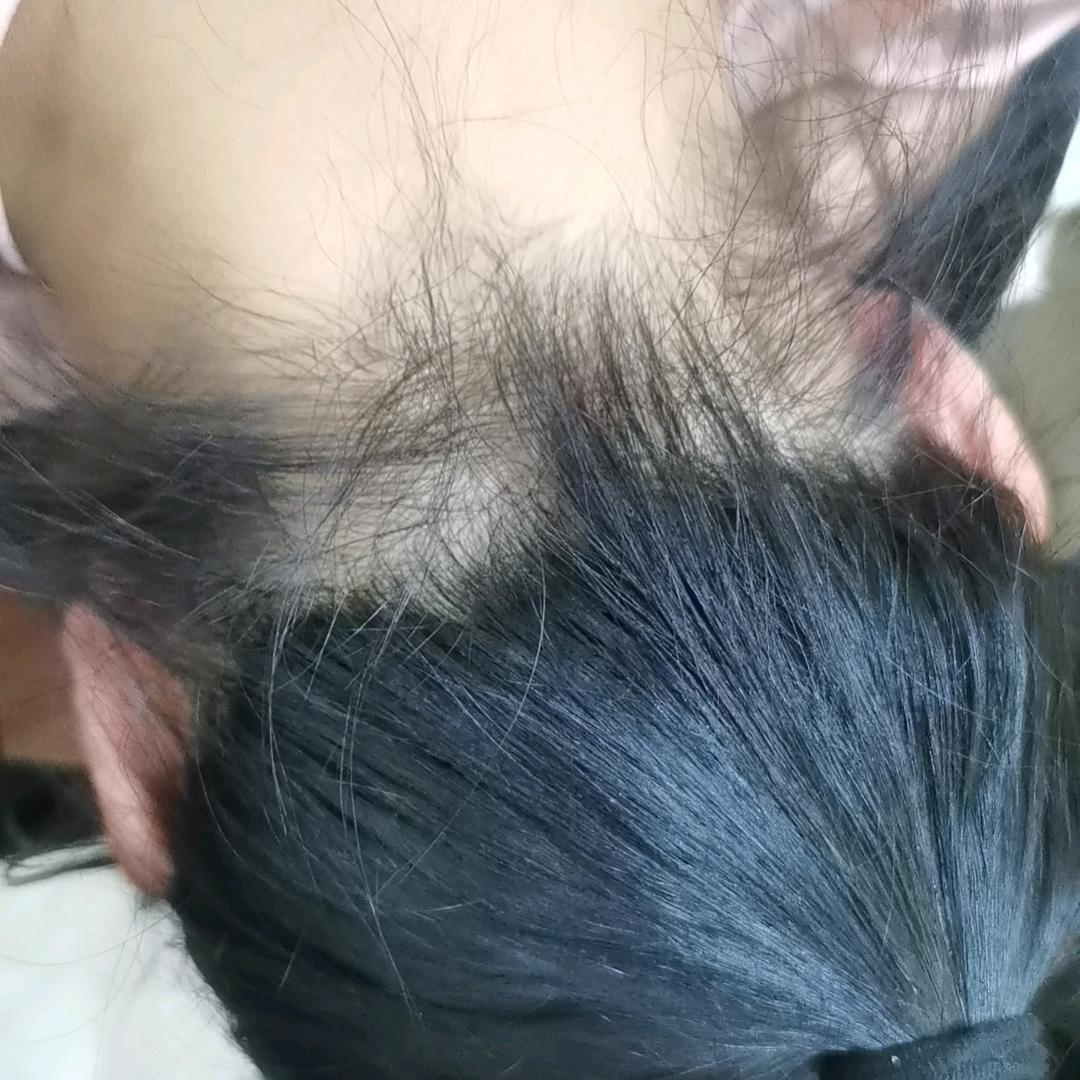 刘葵葵